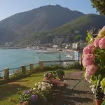 Norma Levanto