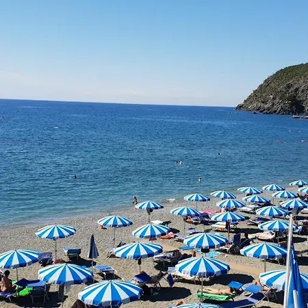 Norma * Λεβάντο