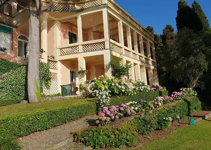 Norma * ليفانتو