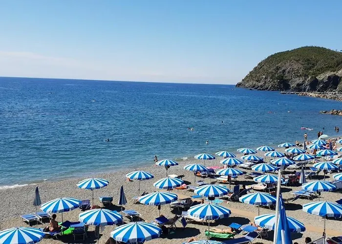 Norma * Λεβάντο